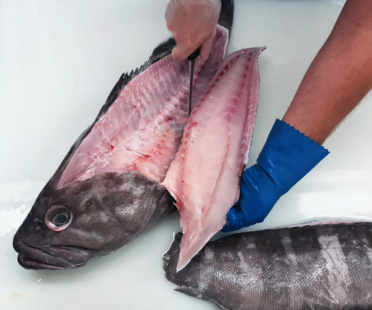 Fish and Fillets category cuts
